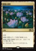 《睡蓮の原野/Lotus Field(249)》【JPN】[M20土地R]