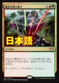 《過去の刈り取り/Reap the Past》【JPN】[MH1金R]