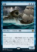 《竜亀/Dragon Turtle(056)》【JPN】[AFR青R]