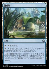 蓮葉村/Lilypad Village