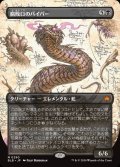 腐敗口のバイパー/Rottenmouth Viper