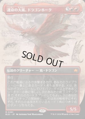 画像1: 運命の大嵐、ドラゴンホーク/Dragonhawk, Fate's Tempest