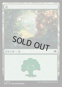 森/Forest