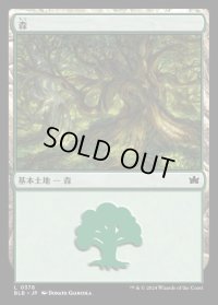 森/Forest