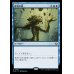 画像1: 思考の泉/Mind Spring (1)