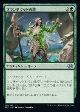 《ブランチウッドの鎧/Blanchwood Armor(171)》【JPN】[BRO緑U]