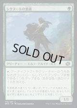 《シタヌールの重鎮/Citanul Stalwart(175)》【JPN】[BRO緑C]