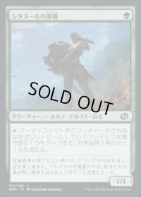 《シタヌールの重鎮/Citanul Stalwart(175)》【JPN】[BRO緑C]