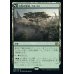 画像1: 自然の聖域、アルゴス/Argoth, Sanctum of Nature (1)