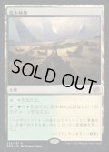 低木林地/Brushland