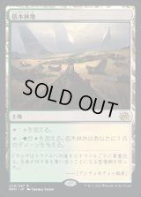 低木林地/Brushland