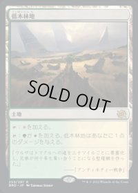 低木林地/Brushland