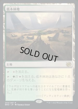 画像1: 低木林地/Brushland