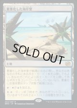 要塞化した海岸堡/Fortified Beachhead