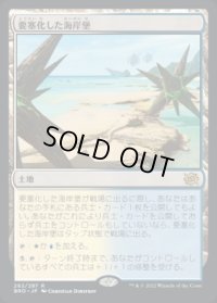 要塞化した海岸堡/Fortified Beachhead