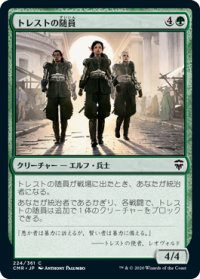 《トレストの随員/Entourage of Trest(224)》【JPN】[CMR緑C]