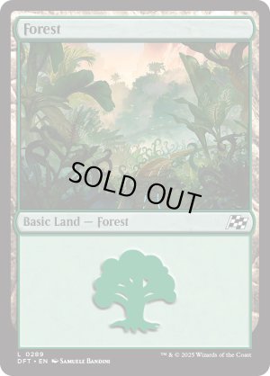 画像2: 森/Forest
