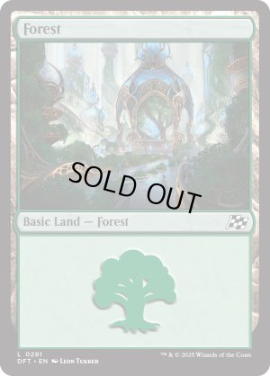 画像2: 森/Forest