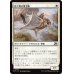 画像1: 煌々野の滑空騎/Brightfield Glider (1)