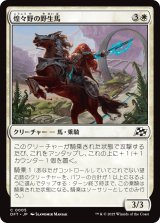 煌々野の野生馬/Brightfield Mustang