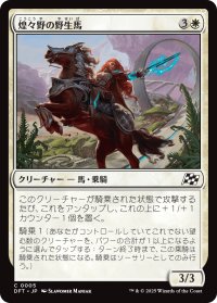 煌々野の野生馬/Brightfield Mustang