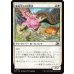 画像1: 睡蓮守りの信奉者/Lotusguard Disciple (1)