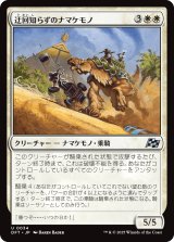 迂回知らずのナマケモノ/Unswerving Sloth