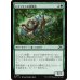 画像1: ロクソドンの偵察員/Loxodon Surveyor (1)