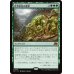 画像1: 世界軟泥の進撃/March of the World Ooze (1)