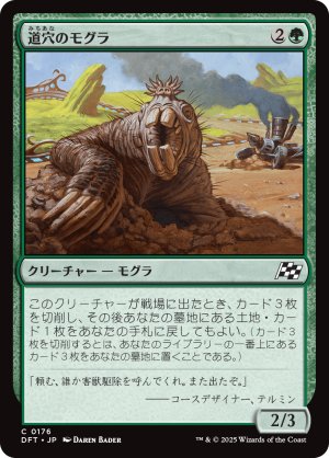 画像1: 道穴のモグラ/Pothole Mole