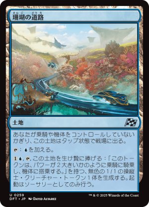 画像1: 珊瑚の道路/Reef Roads