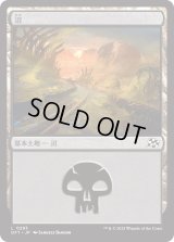沼/Swamp