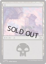 沼/Swamp