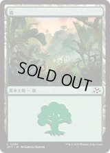 森/Forest