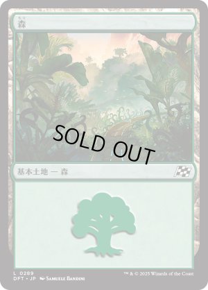 画像1: 森/Forest
