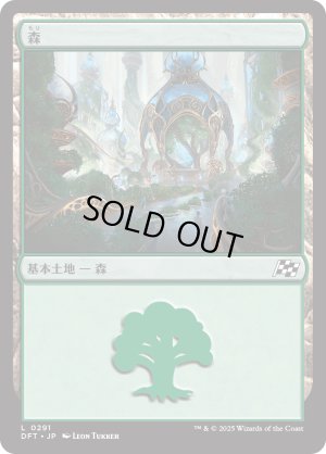 画像1: 森/Forest