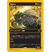 画像1: 屑転がし/Debris Beetle (1)