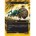 画像1: 屑転がし/Debris Beetle (1)