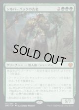 シルバーバックの古老/Silverback Elder