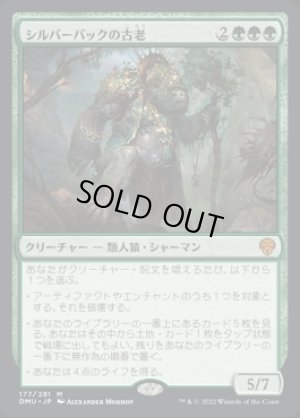 画像1: シルバーバックの古老/Silverback Elder