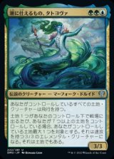 《潮に仕えるもの、タトヨヴァ/Tatyova, Steward of Tides(222)》【JPN】[DMU金U]