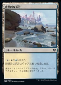 《理想的な浜方/Idyllic Beachfront(249)》【JPN】[DMU土地L]