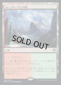 カープルーザンの森/Karplusan Forest