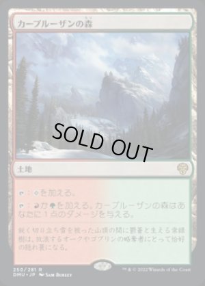 画像1: カープルーザンの森/Karplusan Forest