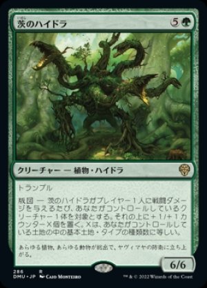 画像1: 茨のハイドラ/Briar Hydra
