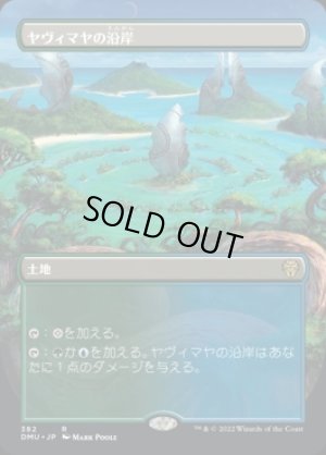 画像1: 《ヤヴィマヤの沿岸/Yavimaya Coast(382)》【JPN】[DMU土地R]
