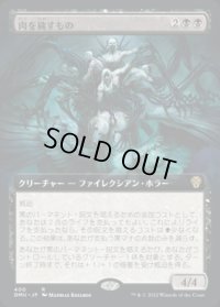 《肉を穢すもの/Defiler of Flesh(400)》【JPN】[DMU黒R]