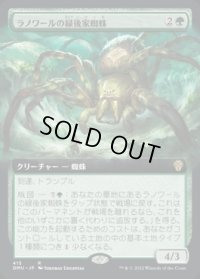 《ラノワールの緑後家蜘蛛/Llanowar Greenwidow(415)》【JPN】[DMU緑R]