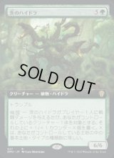 《茨のハイドラ/Briar Hydra(427)》【JPN】[DMU緑R]