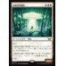 画像1: 未確認浮遊船/Unidentified Hovership (1)